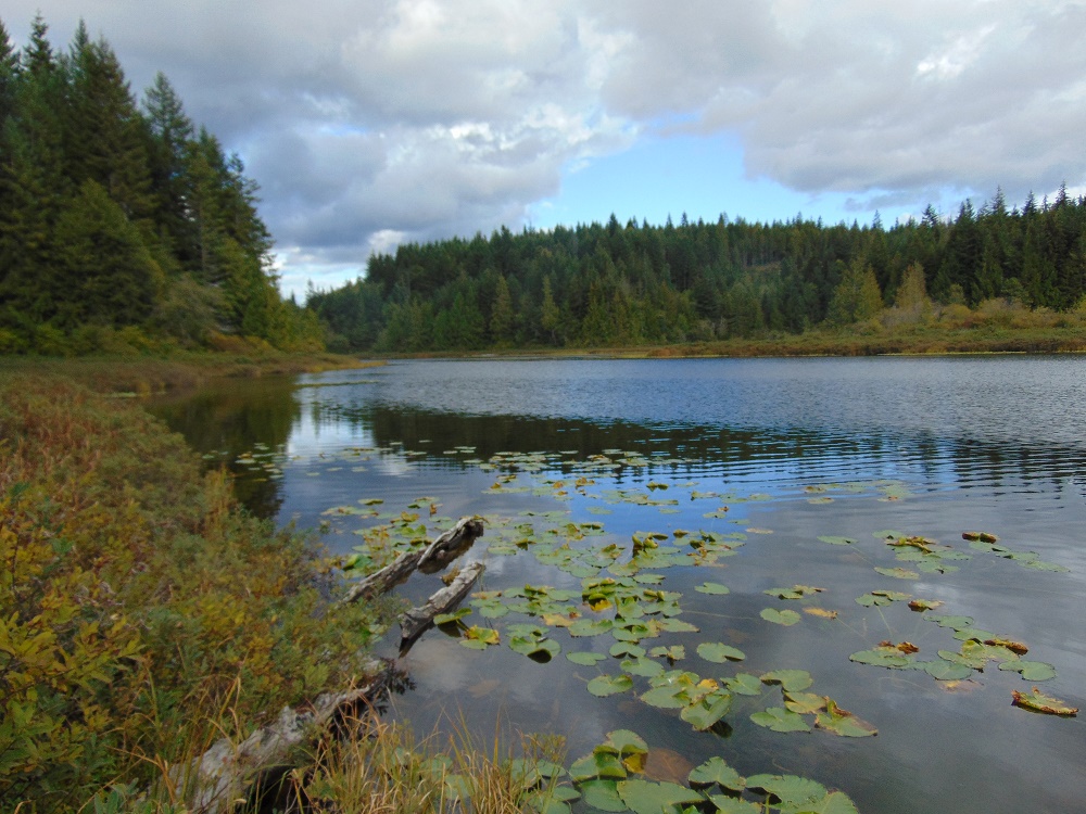 Middle Quinsam Lake