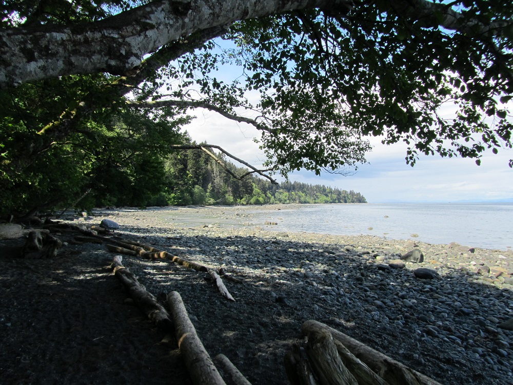 Seal Bay Beach, Vancouver Island, BC