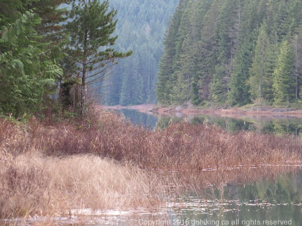 Cedar Lake, Vancouver Island, BC
