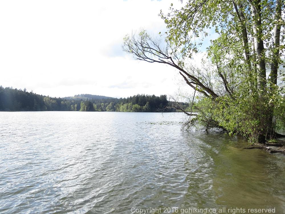 Elk and Beaver Lake, Vancouver Island, BC