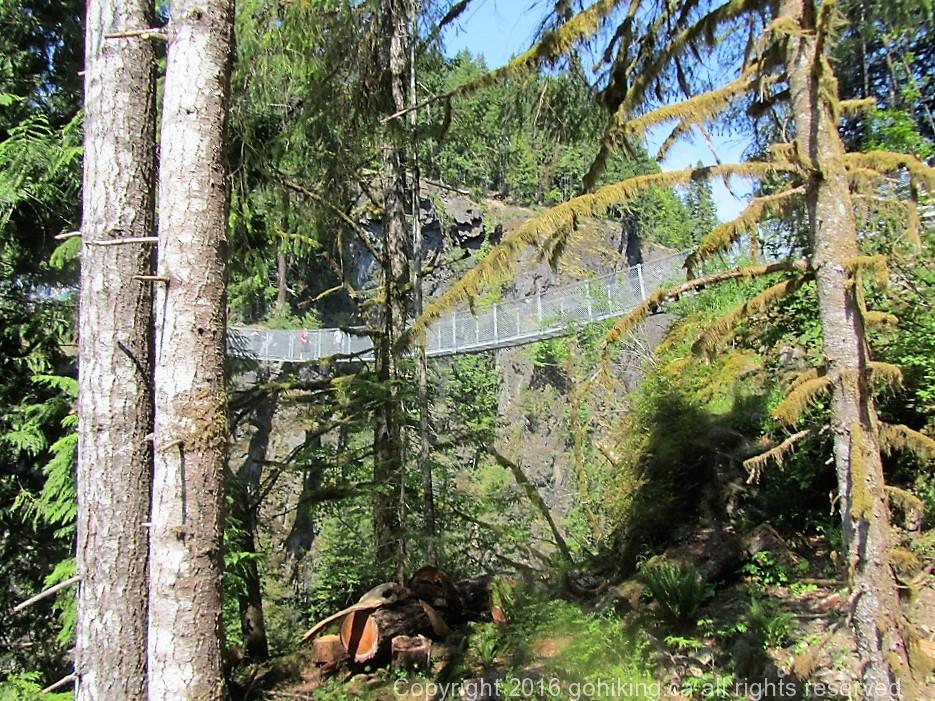 Elk Falls Suspension Bridge, Vancouver Island, BC