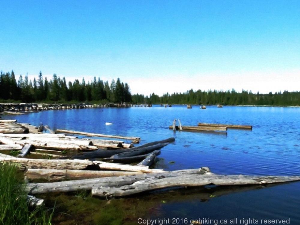 Gooseneck Lake, Vancouver Island, BC