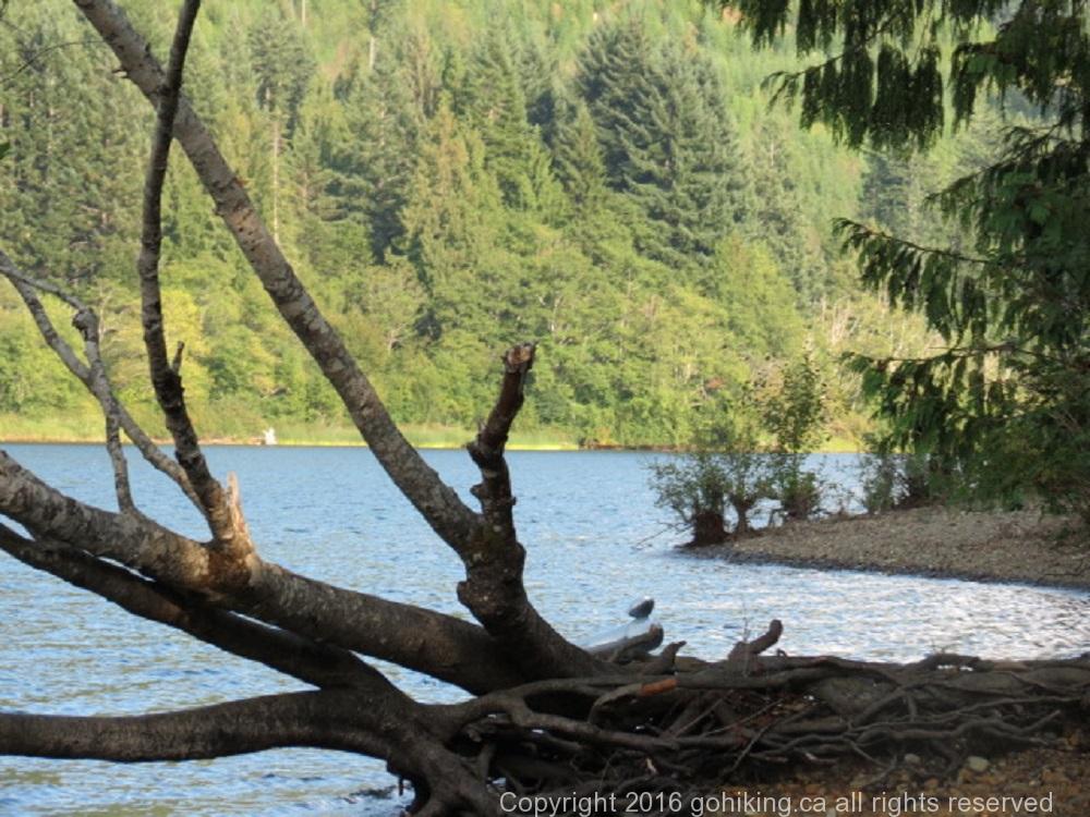 Horne Lake, Vancouver island, BC