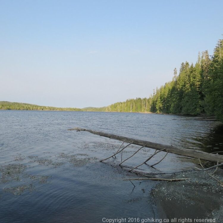 Kains Lake, Vancouver Island, BC