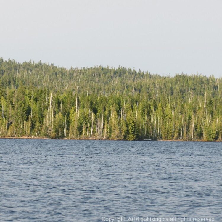 Kains Lake, Vancouver Island, BC