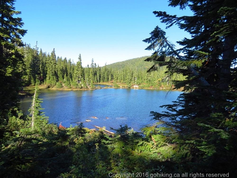 Kwai Lake, Vancouver Island, BC
