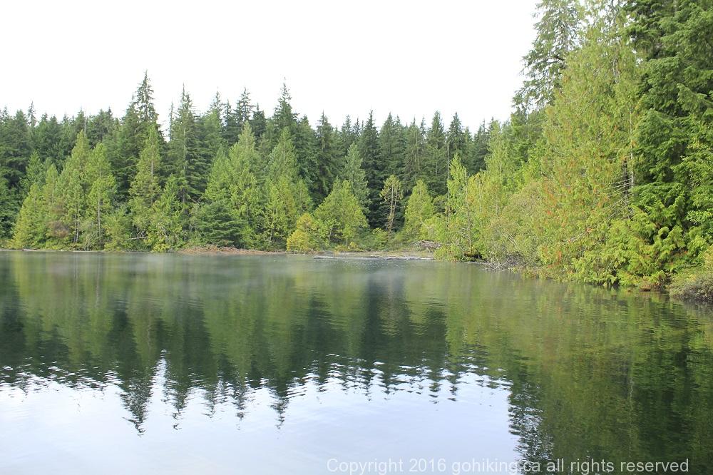 Lizard Lake, Vancouver Island, BC