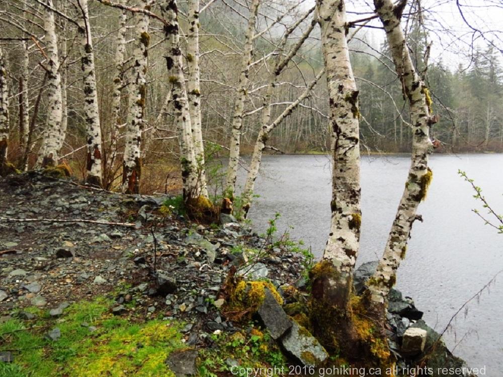 Malaspina Lake, Vancouver Island, BC