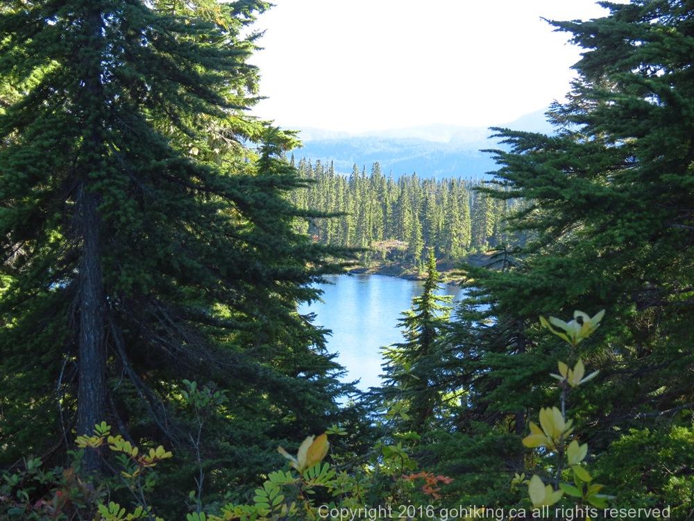 Mariwood Lake, Vancouver Island, BC