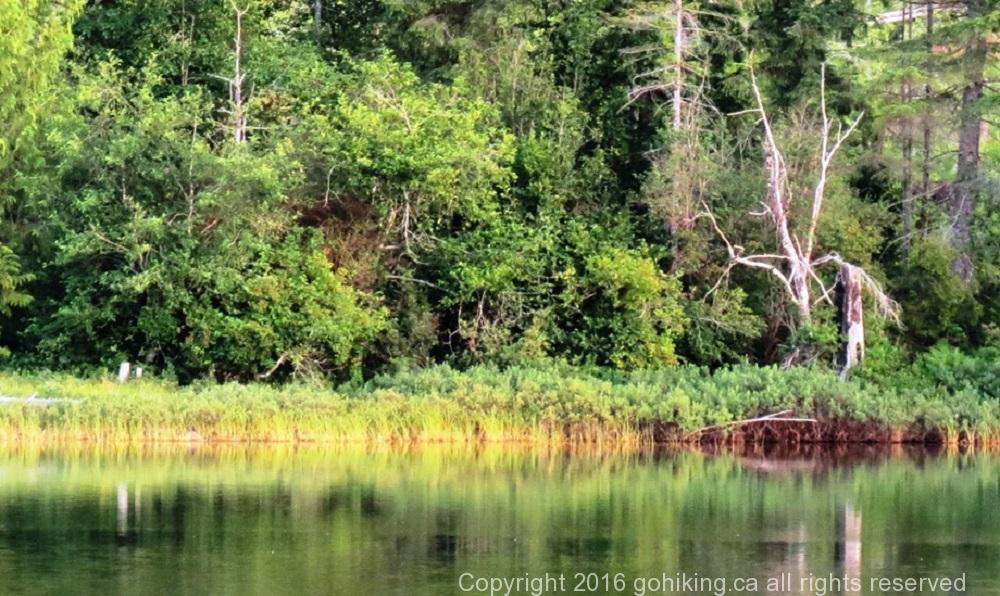 Middle Quinsam Lake, Vancouver Island, BC