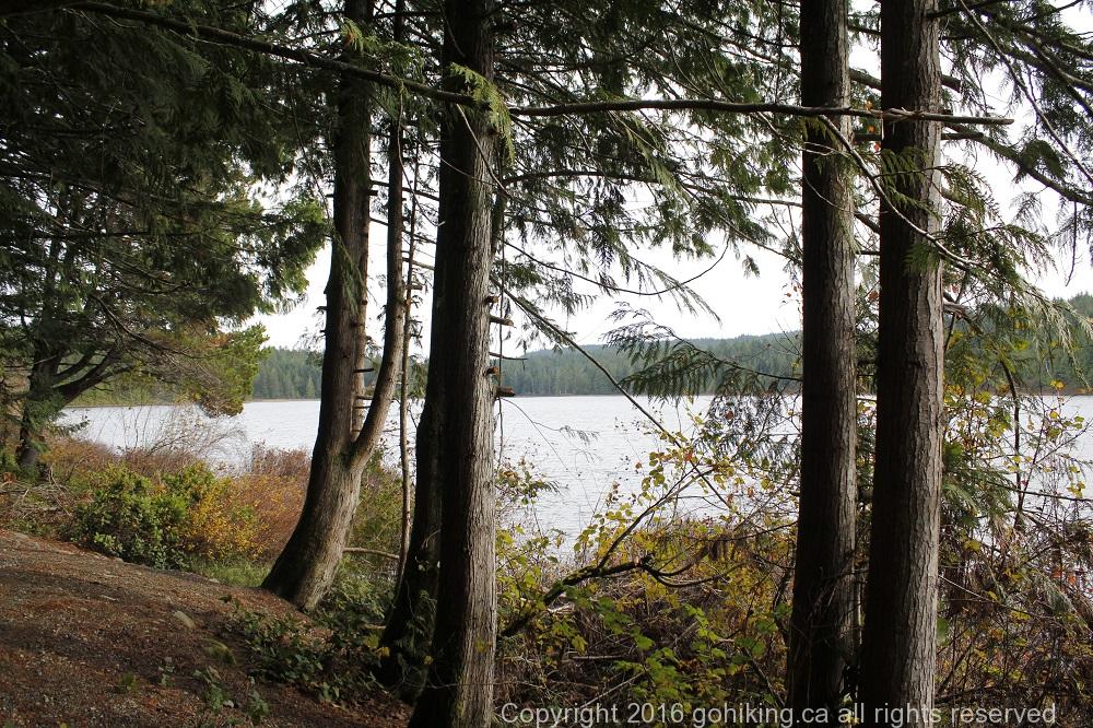 Morton Lake, Vancouver Island, BC