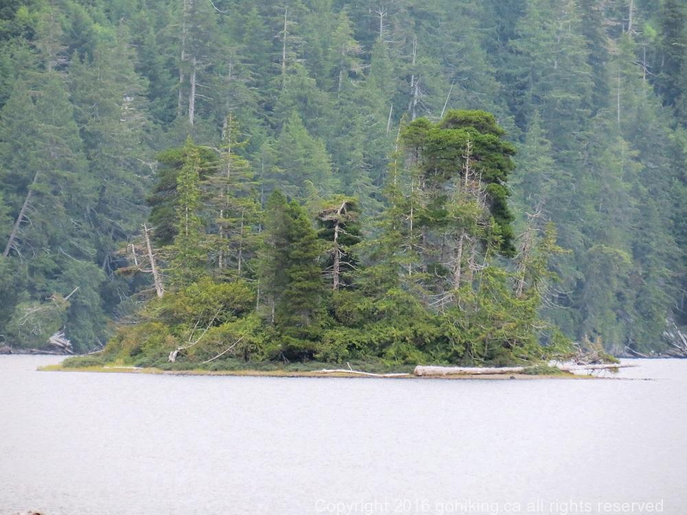 Nahwitti Lake, Vancouver Island, BC