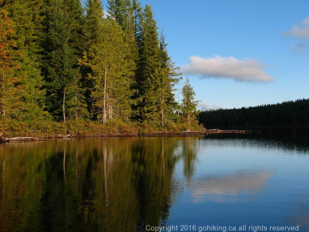 Reginald Lake, Vancouver Island, BC