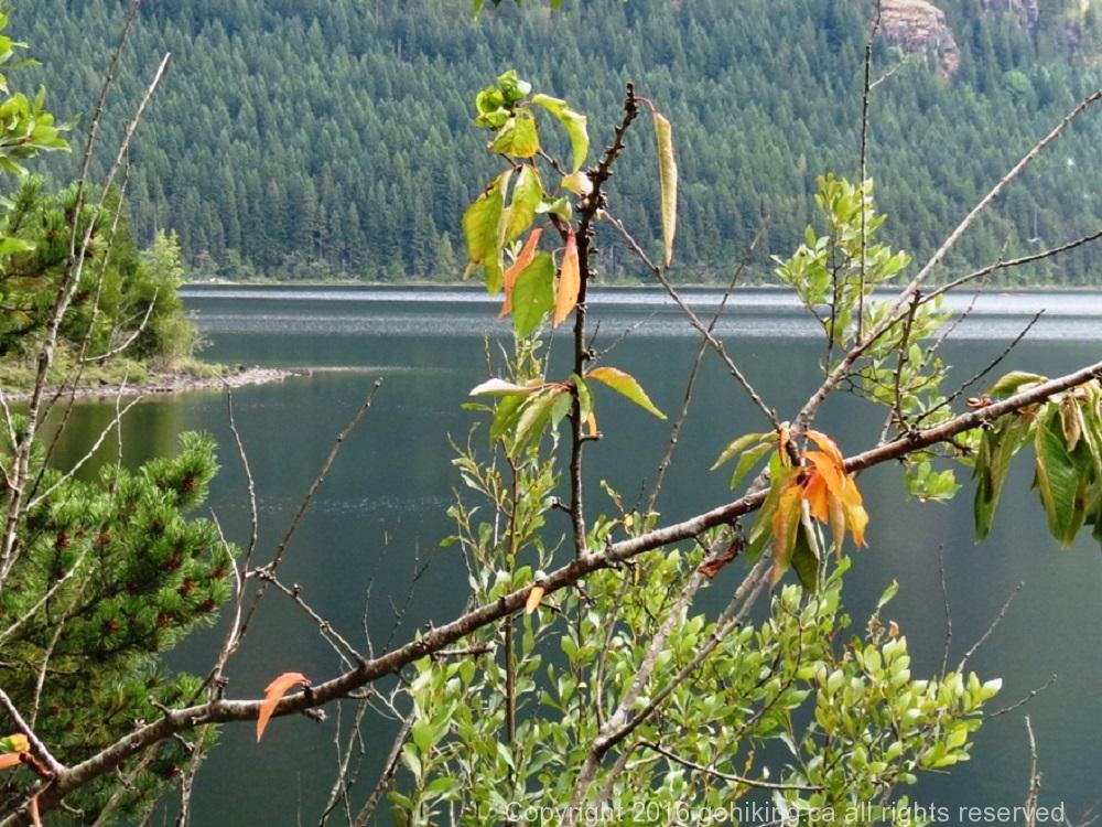 Roberts Lake, Vancouver Island, BC
