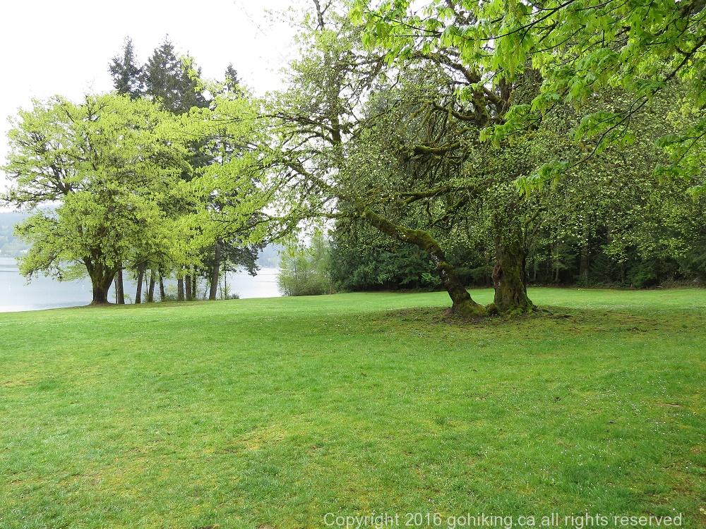 Shawnigan Lake, Vancouver Island, BC