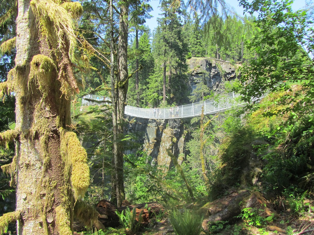 Elk Falls, Vancouver Island, BC