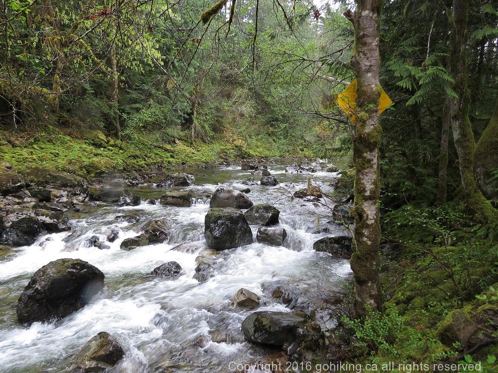 Koksilah River, Vancouver Island, BC