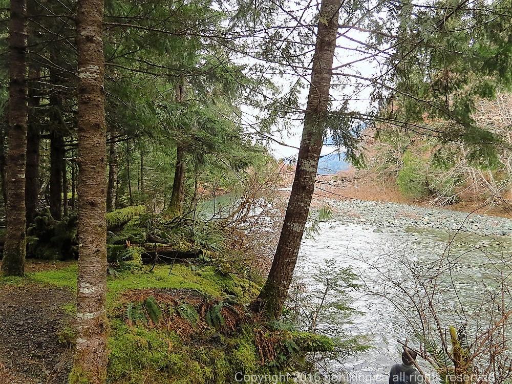 Ralph River, Vancouver Island, BC