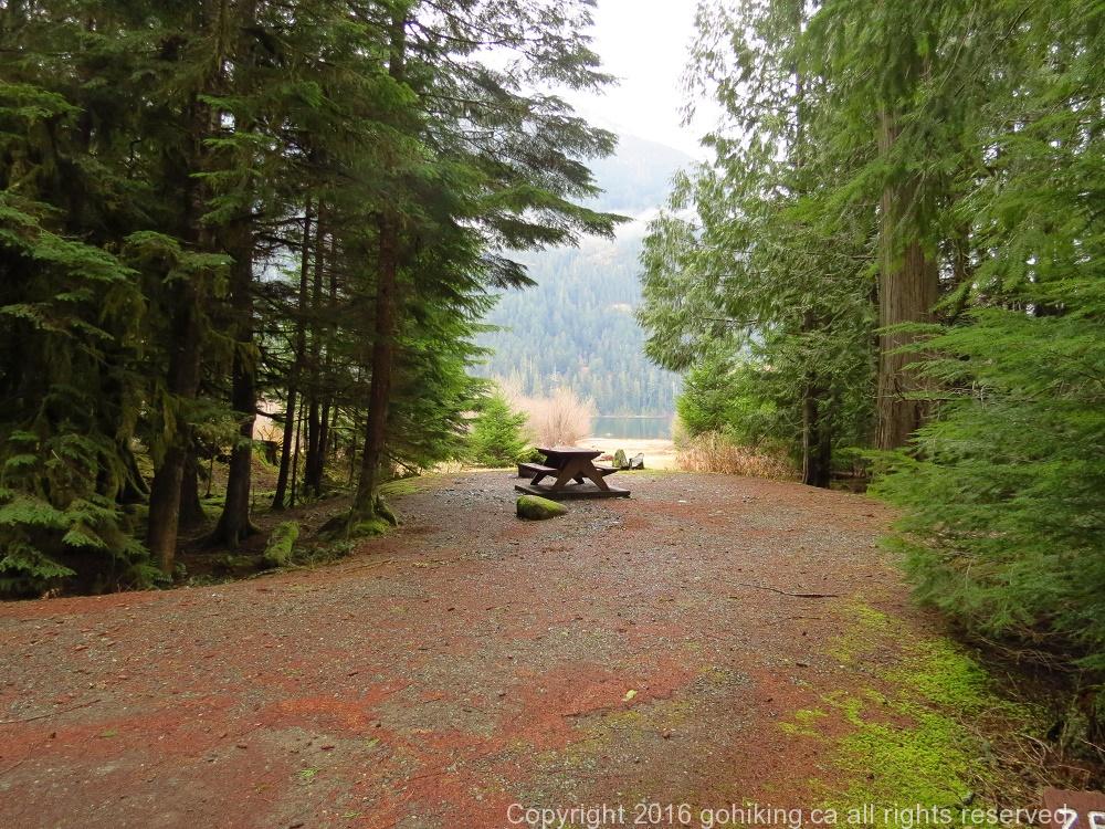 Ralph River, Vancouver Island, BC