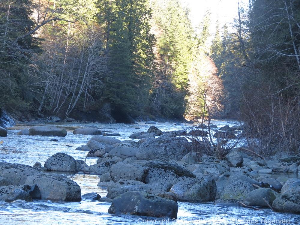 White River, Vancouver Island, BC