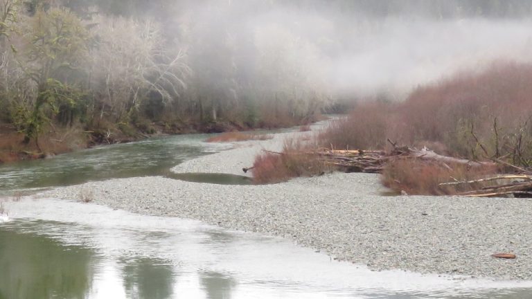 Nit Nat nitinat river park (24) | Gohiking.ca