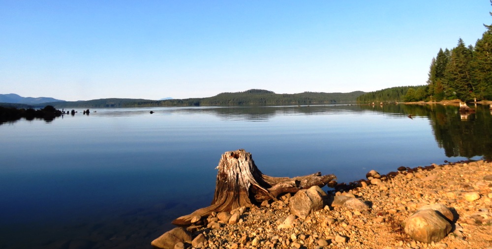 big bay, lower campbell lake (11)