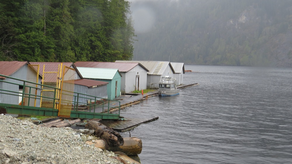 Nesook Bay, Vancouver Island, BC