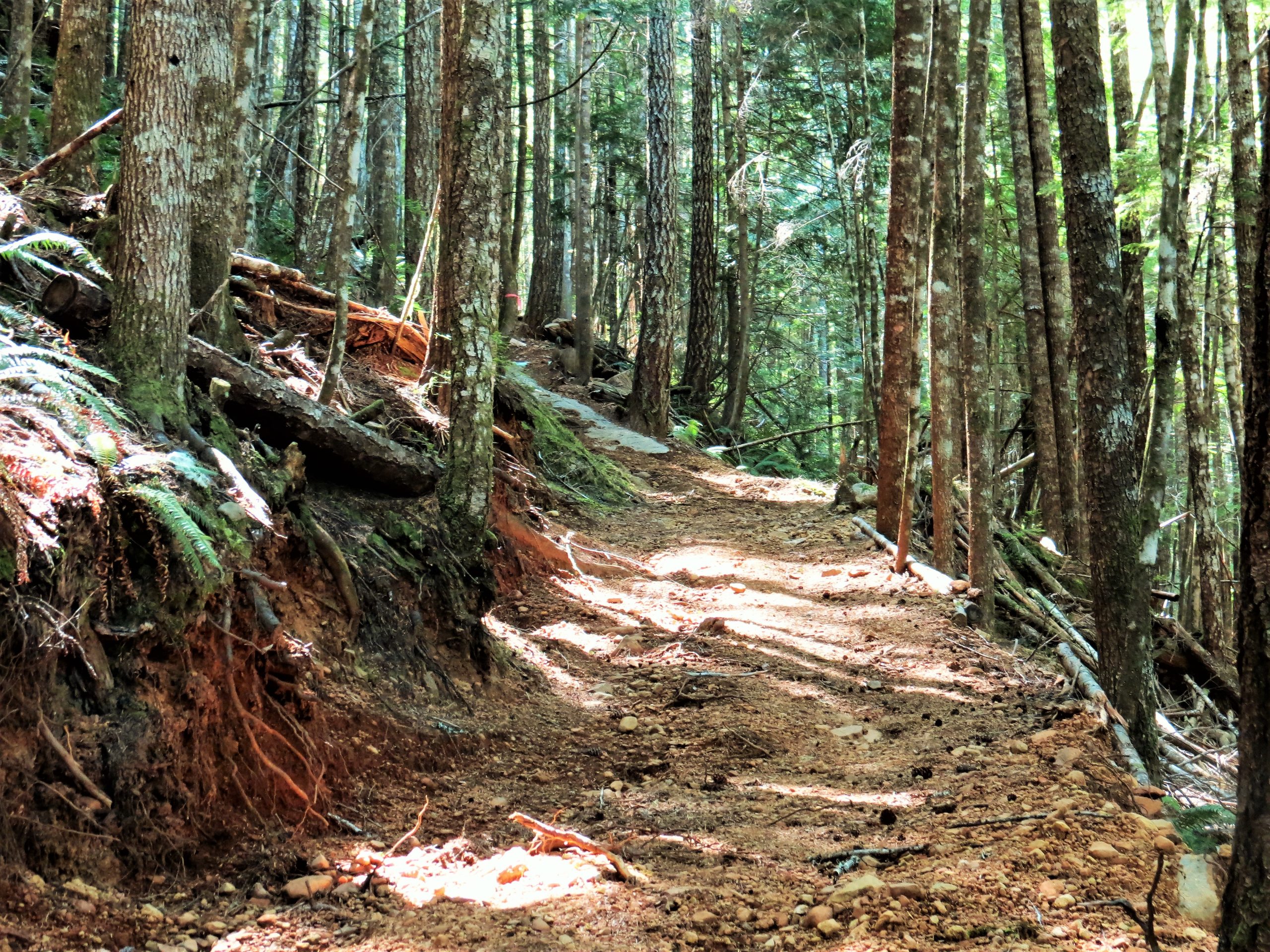 Kusam Klimb Trail, Vancouver Island, BC