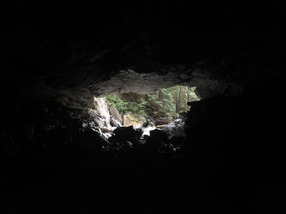 Artlish Cave, Vancouver Island, BC