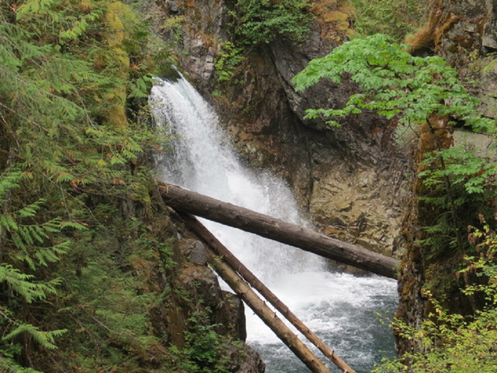 Little Qualicum Falls, Vancouver Island, BC