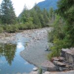 Heber River, Vancouver Island, BC