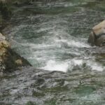 Rivers, Ash River,, Vancouver Island, BC