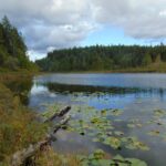 Middle Quinsam Lake, Vancouver Island, BC