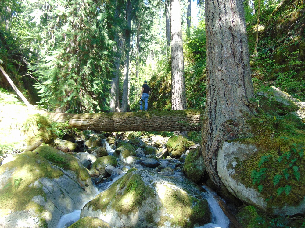 Karsk Creek Falls, Vancouver Island, BC Karsk Creek Falls, Vancouver Island, BC