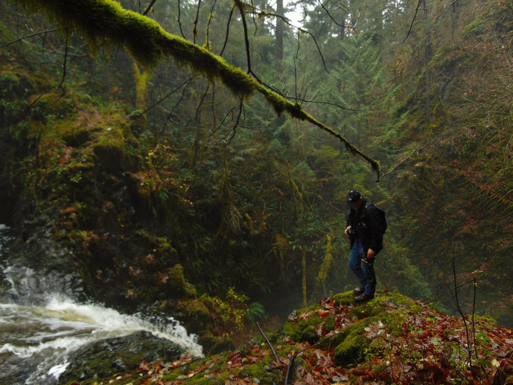 Bonnel Creek Falls, Waterfalls, Vancouver Island, BC Bonnel Creek Falls, Waterfalls, Vancouver Island, BC