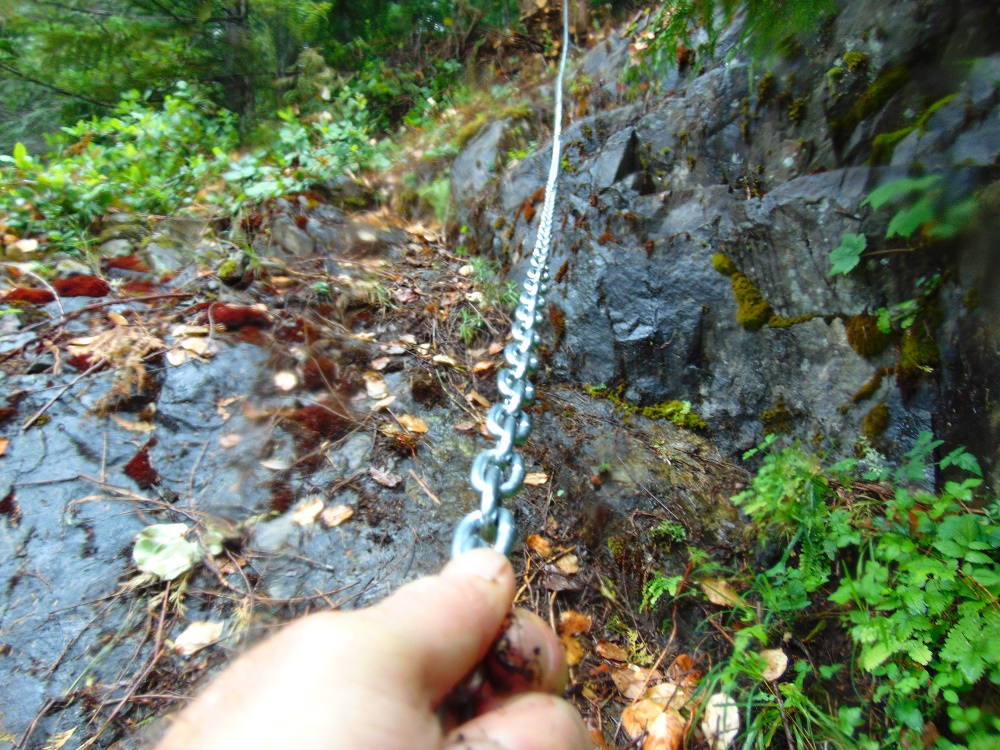 Campbell River Lookout Trail, Vancouver Island, BC Campbell River Lookout Trail, Vancouver Island, BC