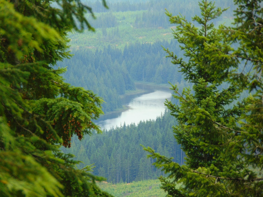 Campbell River Lookout Trail, Vancouver Island, BC Campbell River Lookout Trail, Vancouver Island, BC