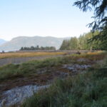 Estuaries, Adam River Estuary, Vancouver island, BC