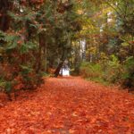 Sealand Park, Vancouver Island, BC
