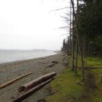 Rathtrevo Beach, Vancouver Island, BC