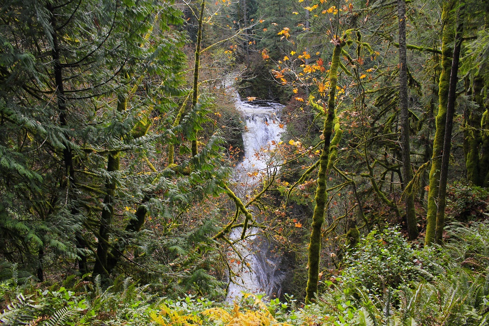 Bonnel Creek Falls, Waterfalls, Vancouver Island, BC Bonnel Creek Falls, Waterfalls, Vancouver Island, BC