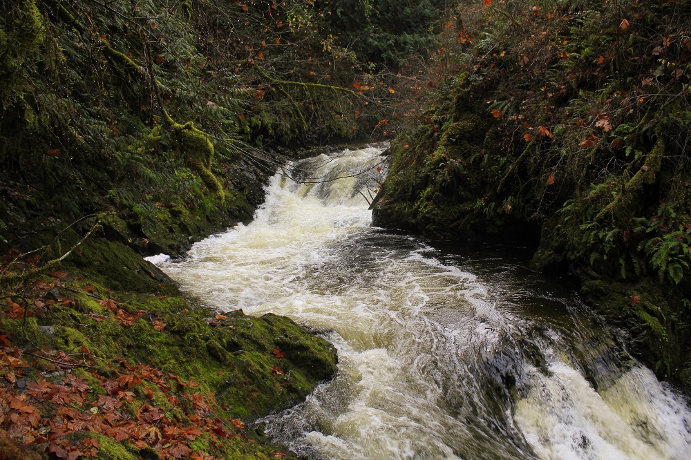 Bonnel Creek Falls, Waterfalls, Vancouver Island, BC Bonnel Creek Falls, Waterfalls, Vancouver Island, BC