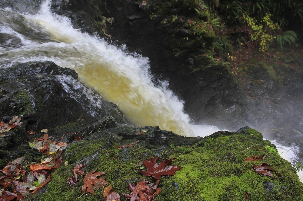 Bonnel Creek Falls, Waterfalls, Vancouver Island, BC Bonnel Creek Falls, Waterfalls, Vancouver Island, BC