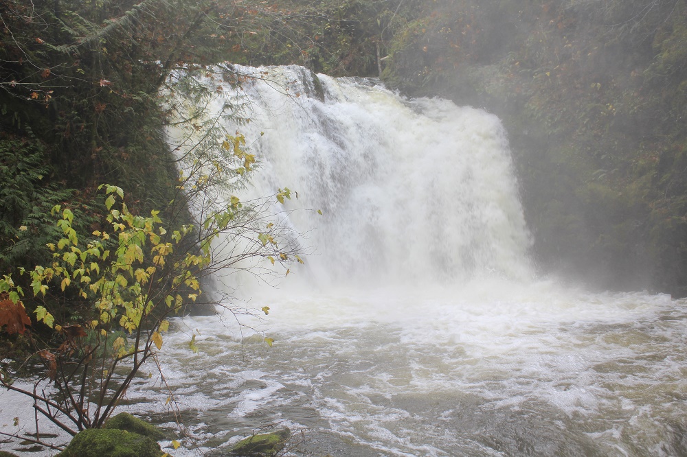 Bonnel Falls, Waterfalls, Vancouver Island, BC Bonnel Falls, Waterfalls, Vancouver Island, BC