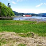 Mohun Creek Estuary, Vancouver Island, BC