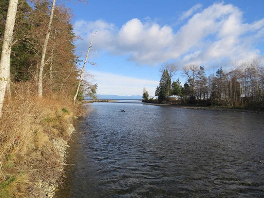 Oyster River Estuary, Vancouver Island, BC Oyster River Estuary, Vancouver Island, BC