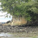 Beaches, Botanical Beach Trail, Vancouver Island, BC