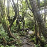 Botany Bay, Vancouver Island, BC