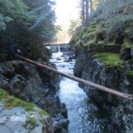 Brown River, Vancouver Island, BC