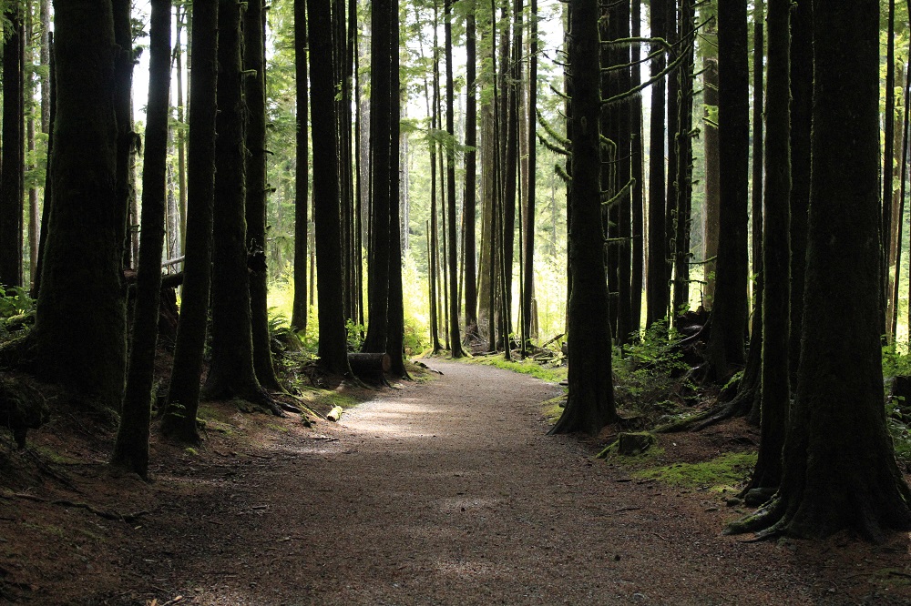 Grant Bay, Vancouver Island, BC Grant Bay, Vancouver Island, BC